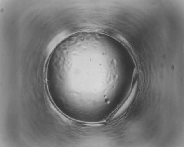 X0000057101487200509231703