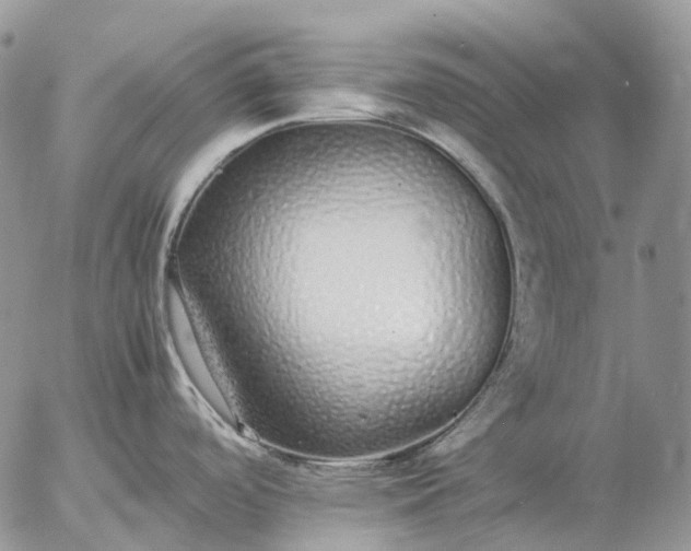 X0000057101488200509231703