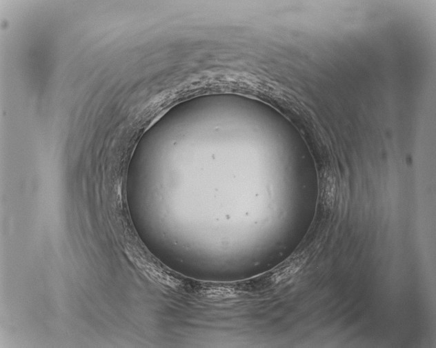 X0000057101489200509231702