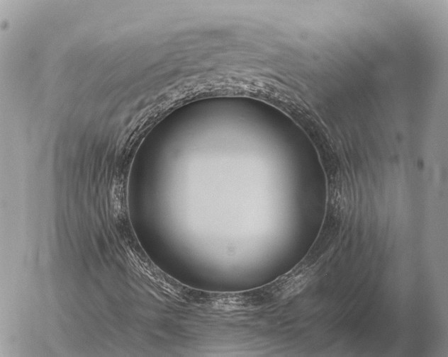 X0000057101490200509231702