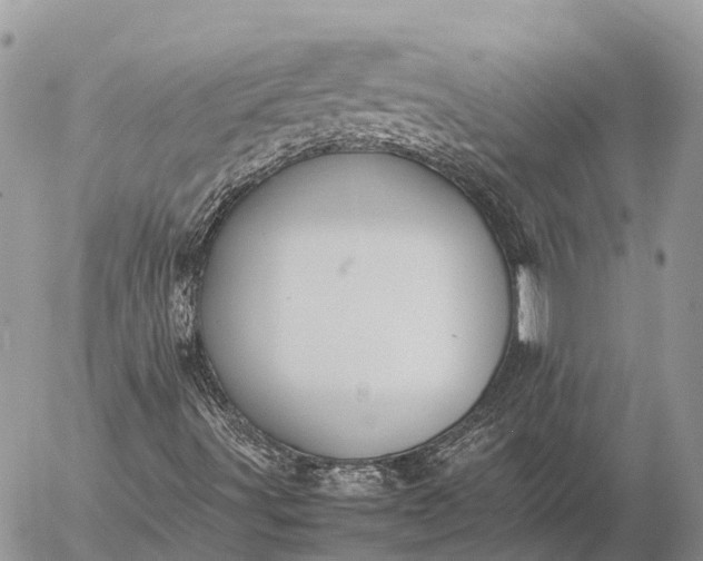 X0000057101491200509231702