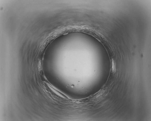 X0000057101492200509231702