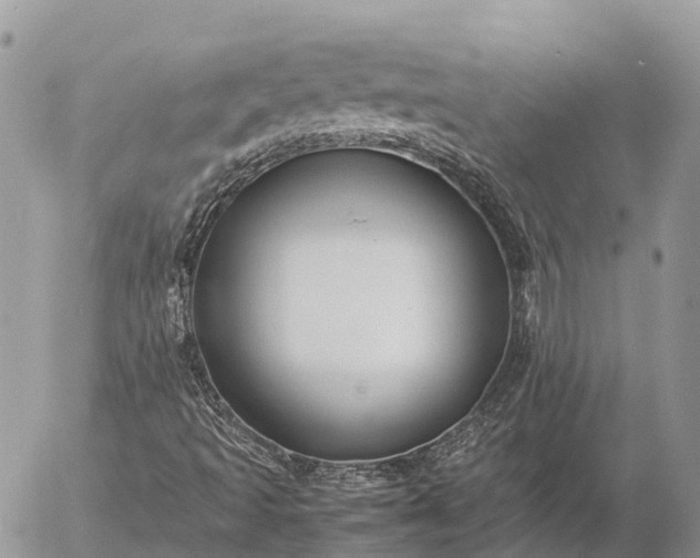 X0000057101493200509231702