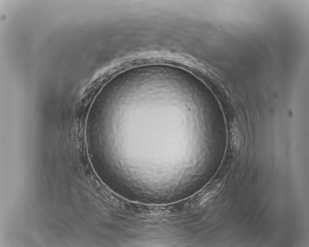 X0000057101494200509231702