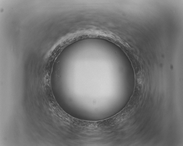 X0000057101495200509231702