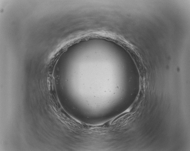 X0000057101496200509231702