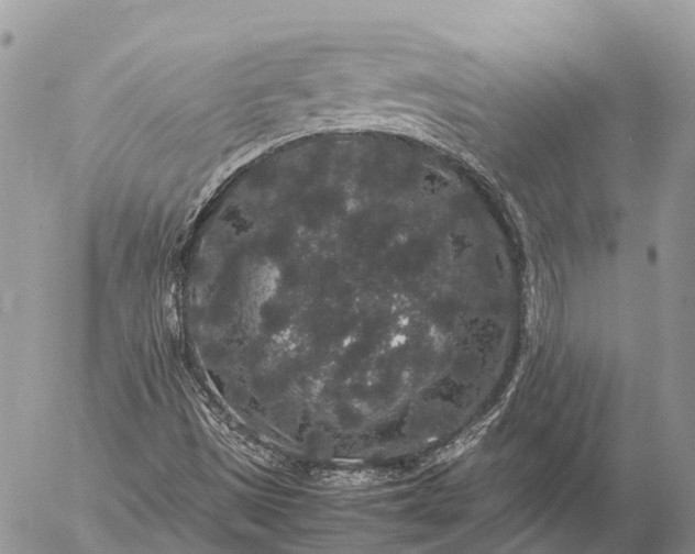 X0000057101497200509231702