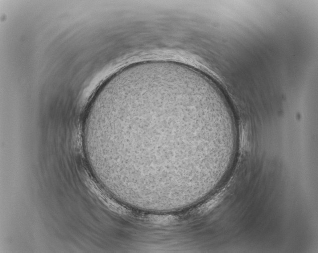 X0000057101498200509231702