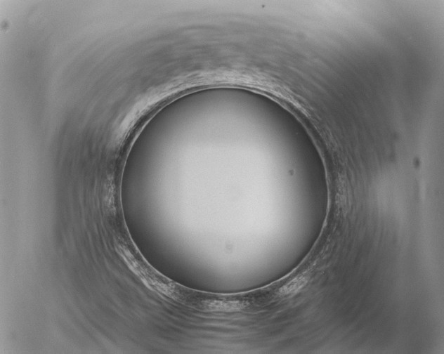 X0000057101499200509231702