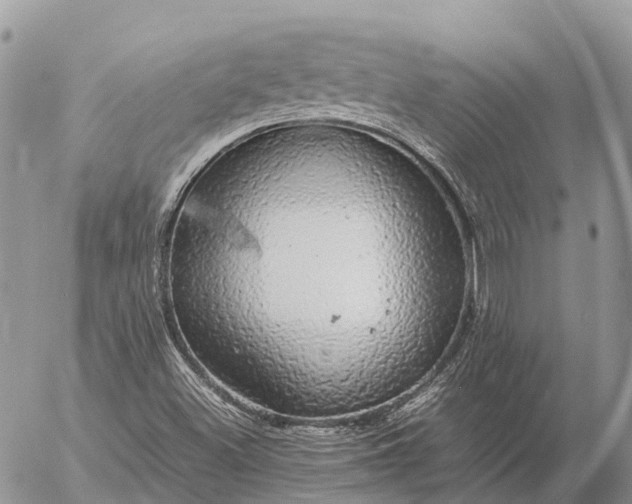 X0000057101500200509231702