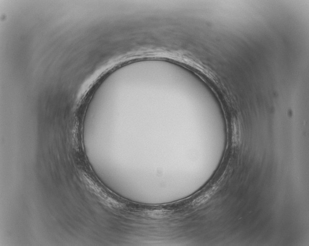 X0000057101502200509231702