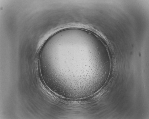 X0000057101504200509231702