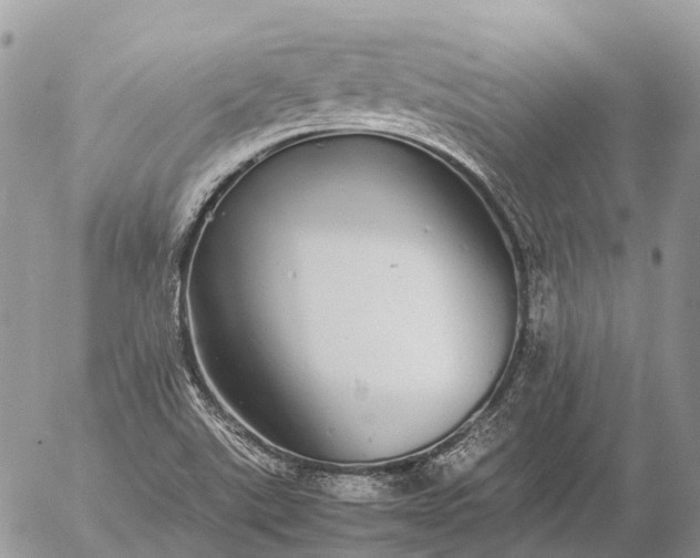 X0000057101507200509231702