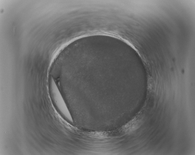 X0000057101508200509231702