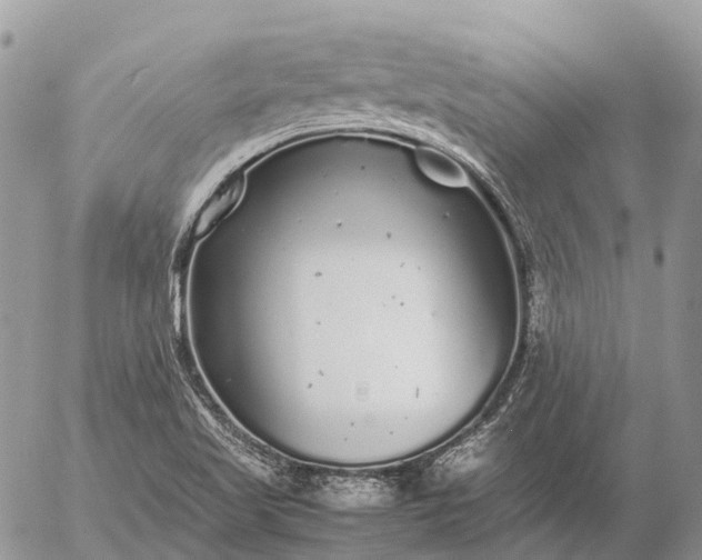 X0000057101509200509231702