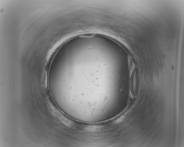 X0000057101510200509231702