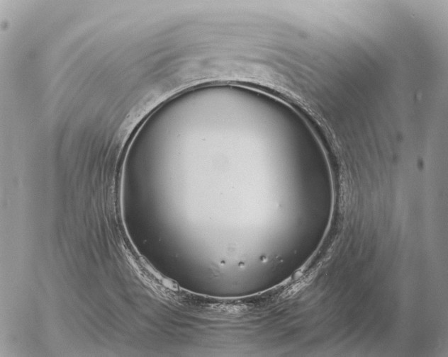 X0000057101513200509231702