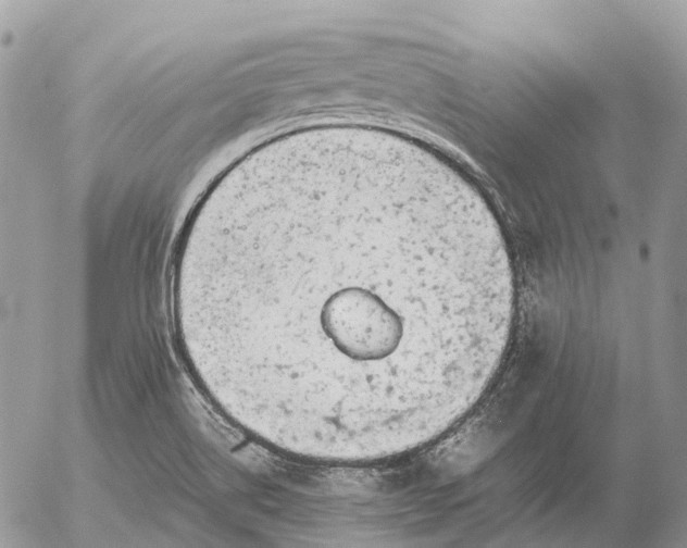 X0000057101514200509231702