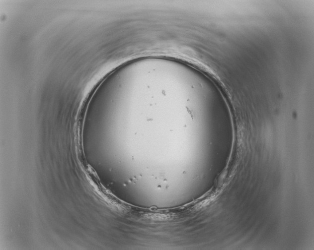 X0000057101517200509231702