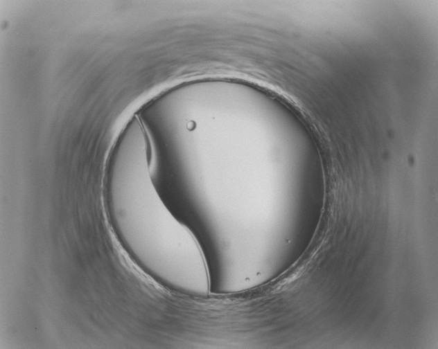 X0000057101518200509231702