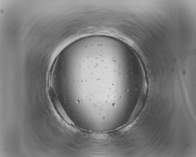 X0000057101520200509231702