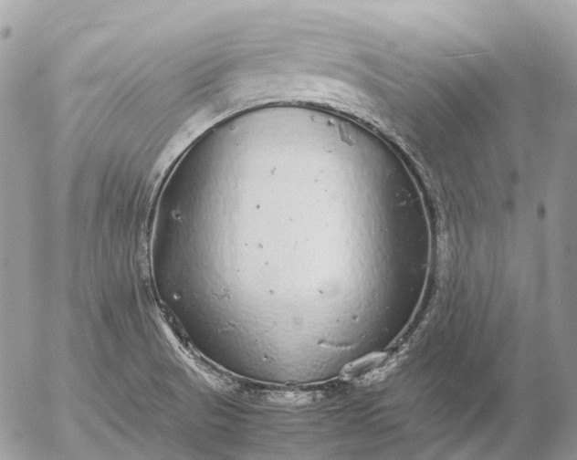 X0000057101521200509231702