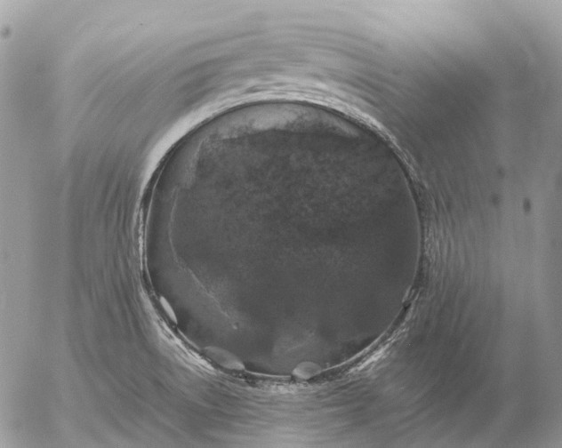 X0000057101522200509231702