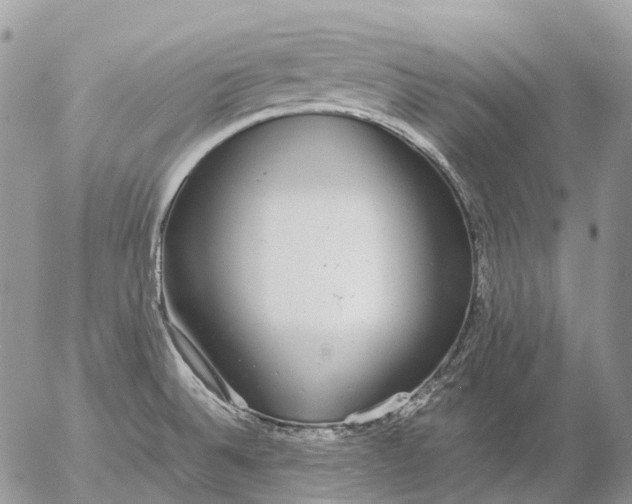 X0000057101524200509231702