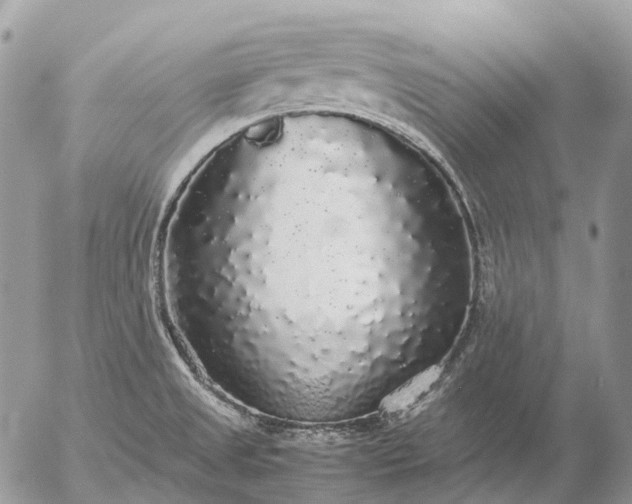 X0000057101525200509231702