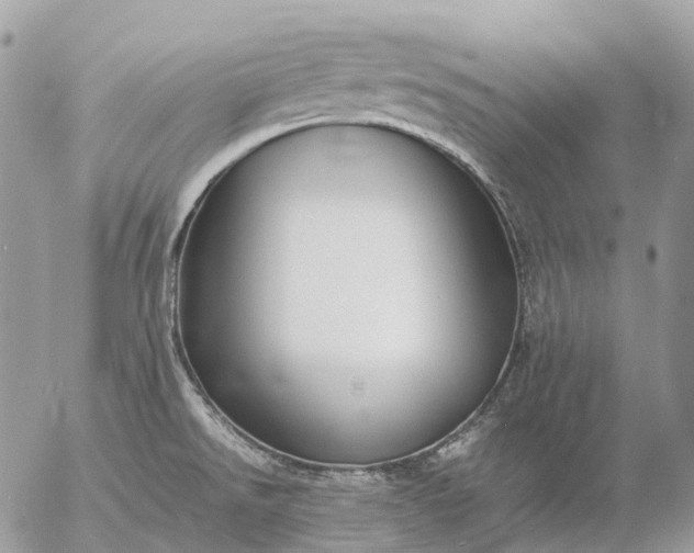 X0000057101526200509231702