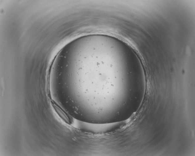 X0000057101528200509231702