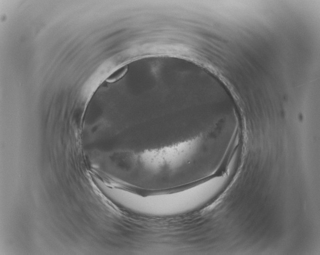 X0000057101529200509231702