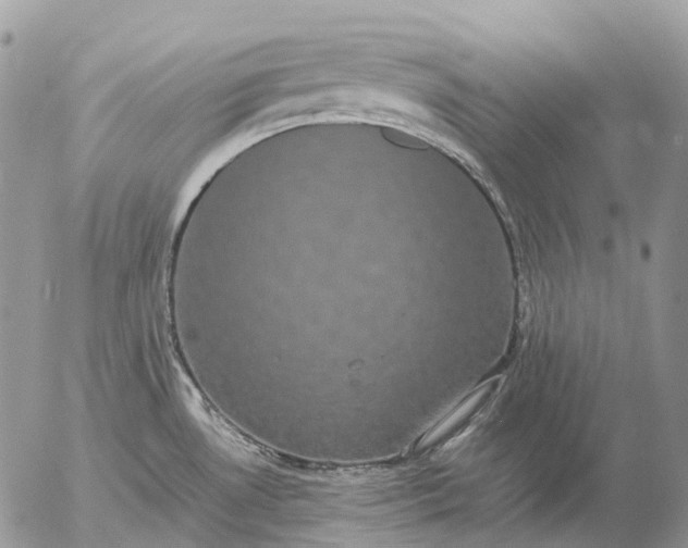 X0000057101530200509231702