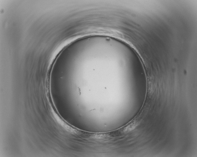 X0000057101531200509231702