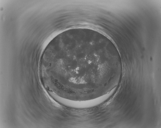 X0000057101533200509231703