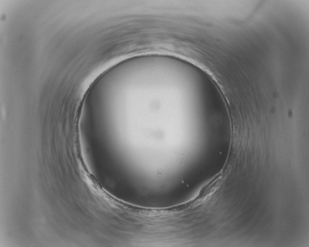 X0000057101534200509231703