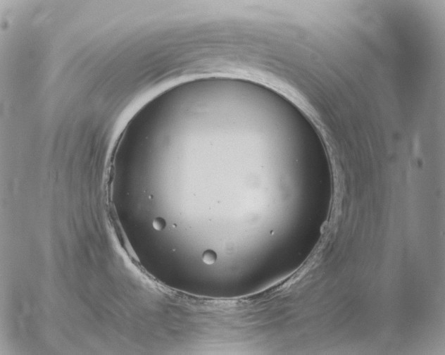 X0000057101536200509231703