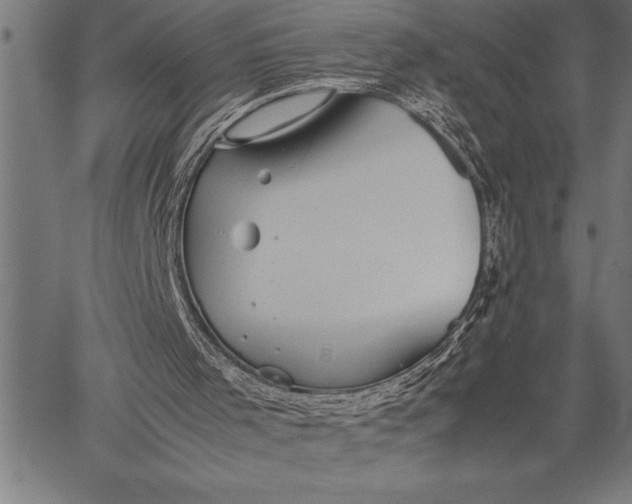 X0000057100001200509301629