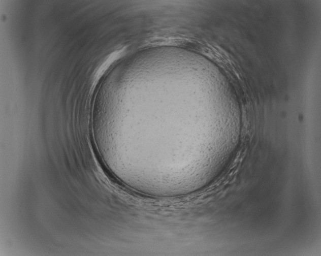 X0000057100003200509301629