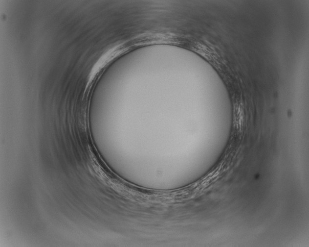 X0000057100004200509301629