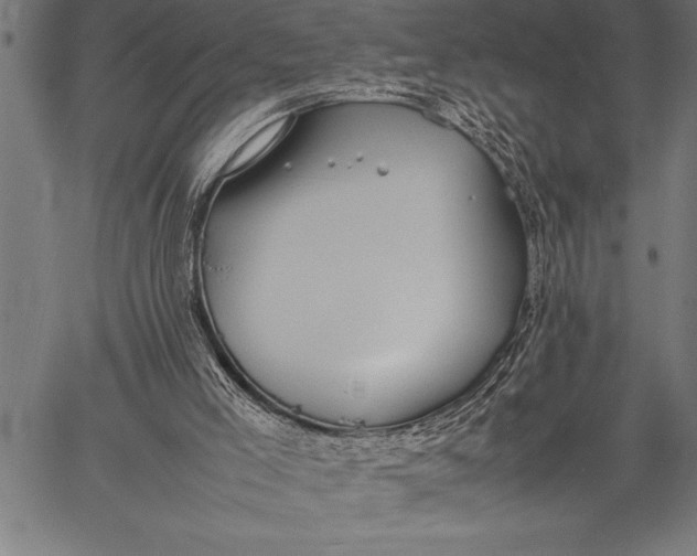 X0000057100005200509301629