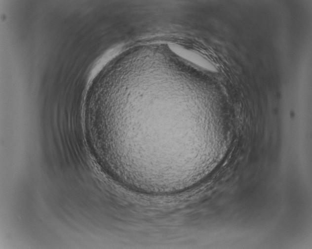 X0000057100006200509301629