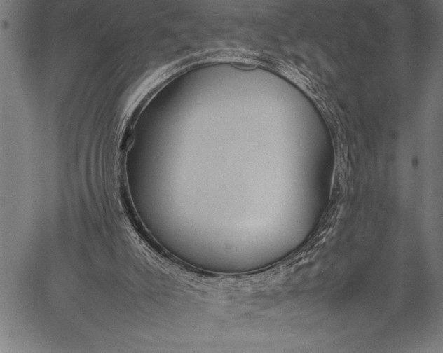 X0000057100007200509301629