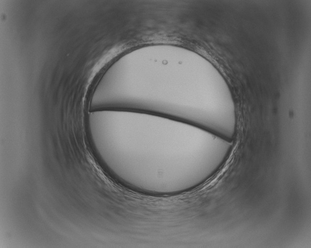 X0000057100008200509301629