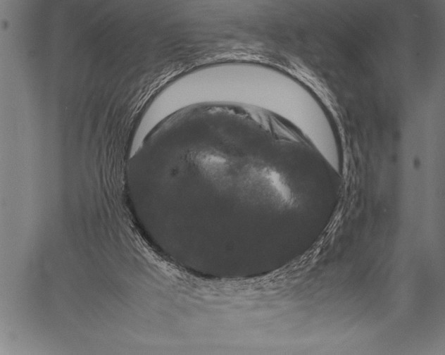 X0000057100009200509301629