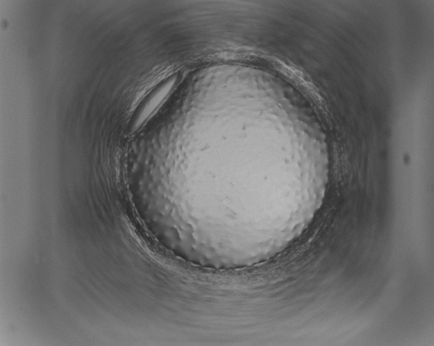 X0000057100010200509301629