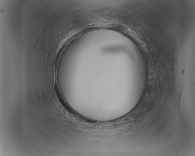 X0000057100011200509301629