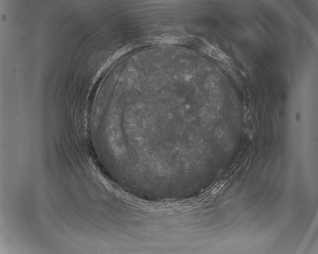 X0000057100012200509301629