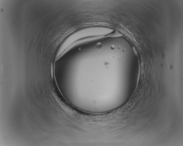 X0000057100013200509301629