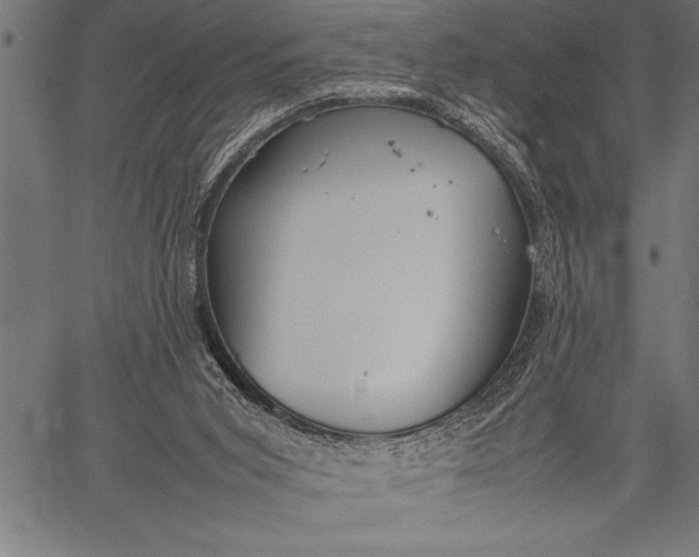 X0000057100015200509301629